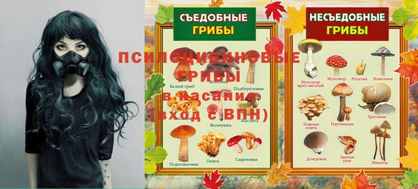 spice Баксан