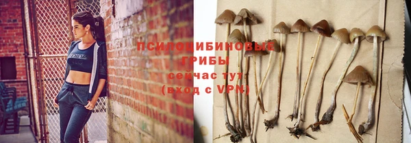 spice Баксан