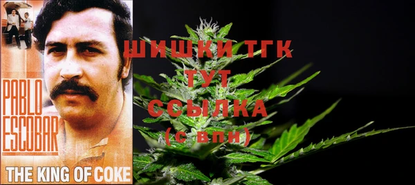 spice Баксан