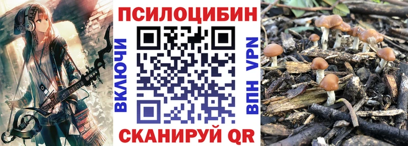 купить закладку Озёры Галлюциногенные грибы GOLDEN TEACHER